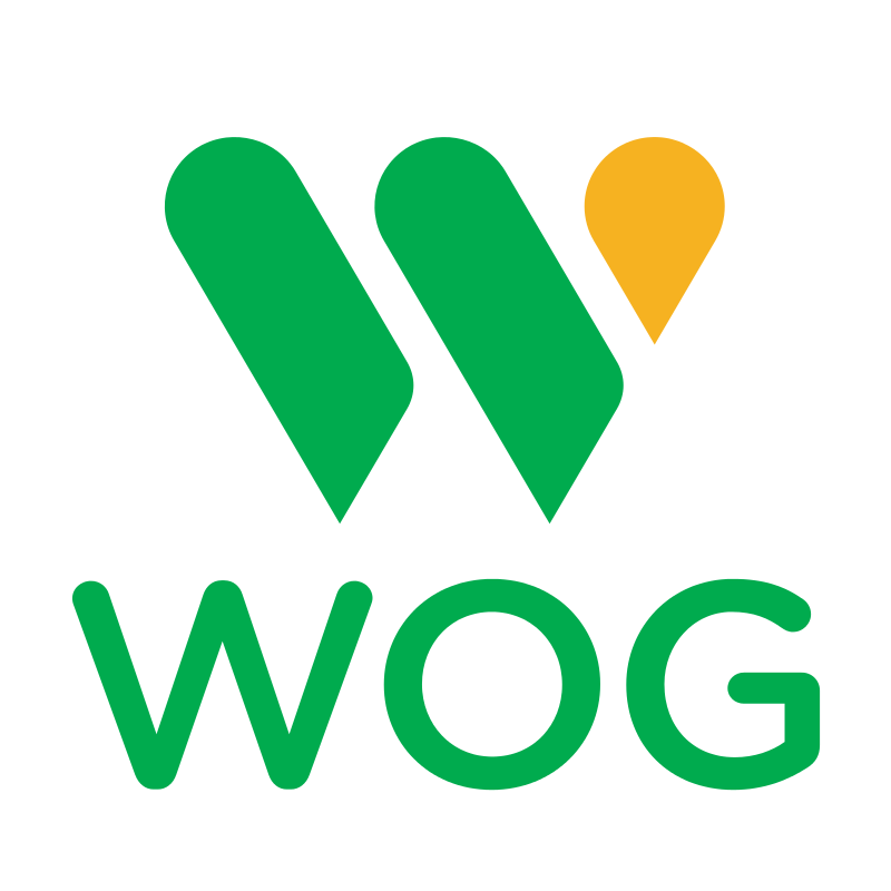 Дизельне паливо (Євро 5), АЗС WOG, картка